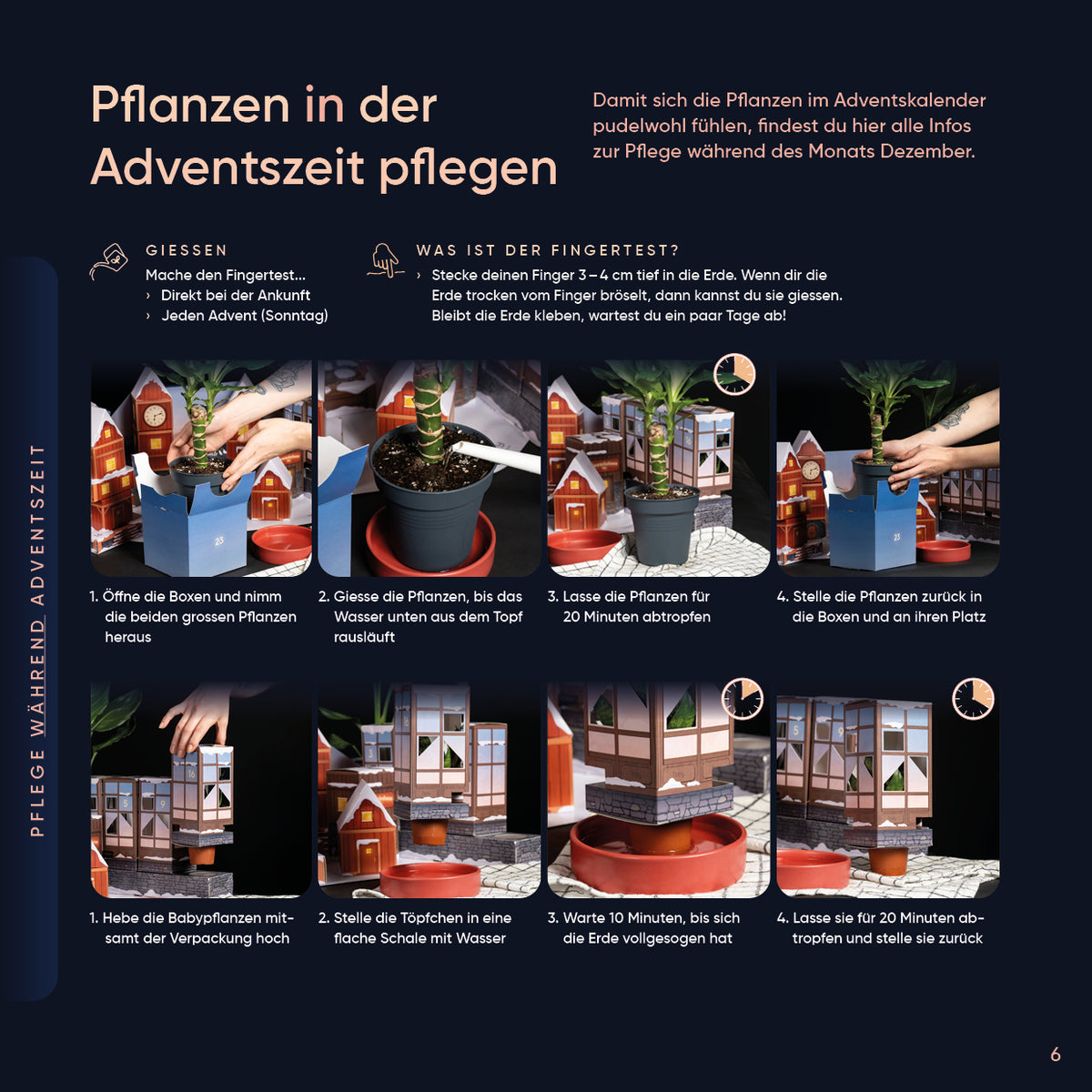 Flipbook page 6