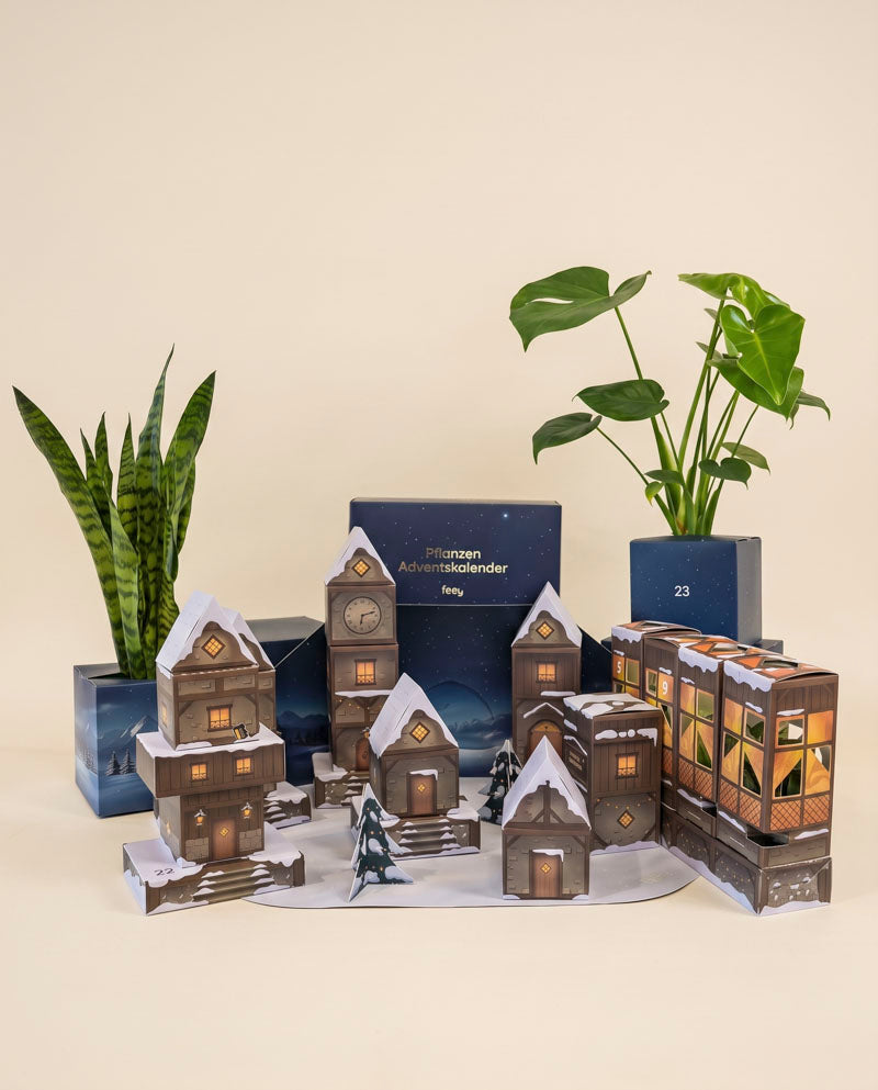 Das Adventskalender-Winterdorf in Abendblau mit Bogenhanf und Monstera in blauen Töpfen vor beigem Hintergrund.