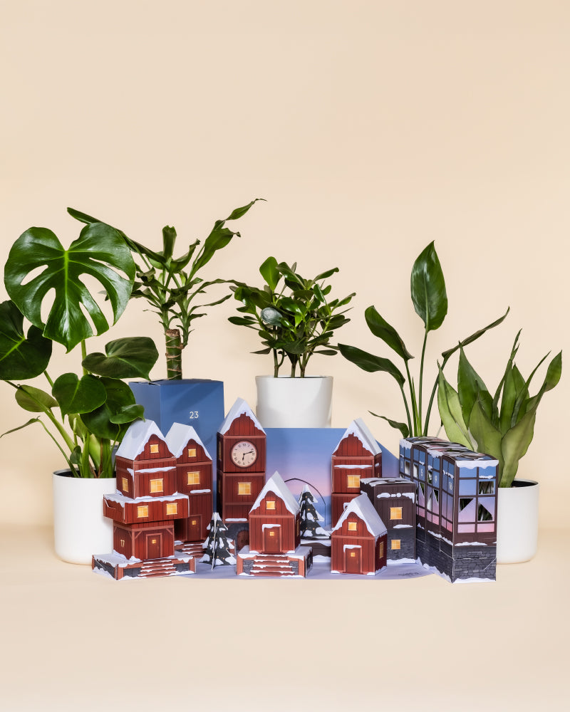 Der Pflanzen-Adventskalender (Dschungel-Version) steht hinter einem kleinen, detailgetreuen Papiermodell eines verschneiten Dorfes mit braunen Häusern, einem Uhrenturm und Bäumen, alles vor einem schlichten beigen Hintergrund.
