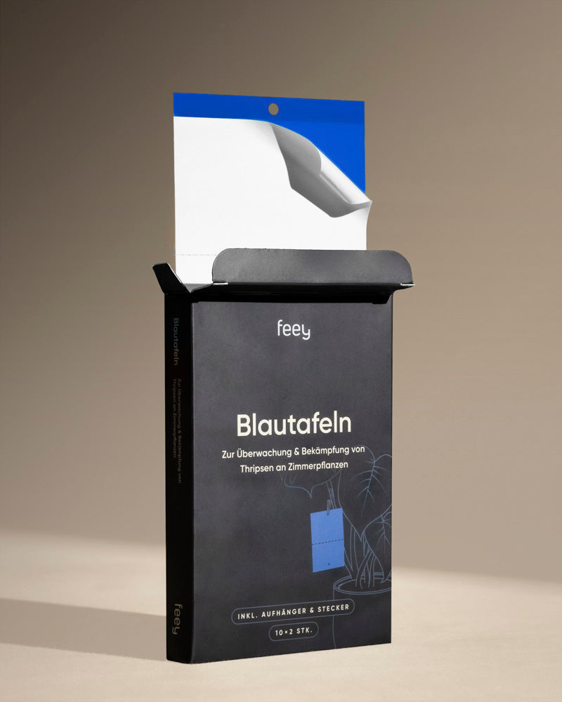 Eine schwarze Schachtel mit der Aufschrift 