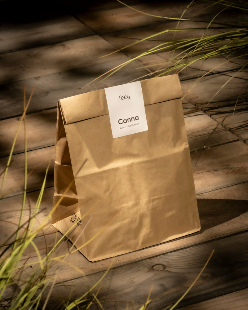 Eine braune Papiertüte mit der Aufschrift „Canna (rosa)“ liegt auf einer Holzoberfläche, beleuchtet von sanftem Sonnenlicht, wobei rosa Blüten und verschwommenes grünes Gras die Szene sanft umrahmen.