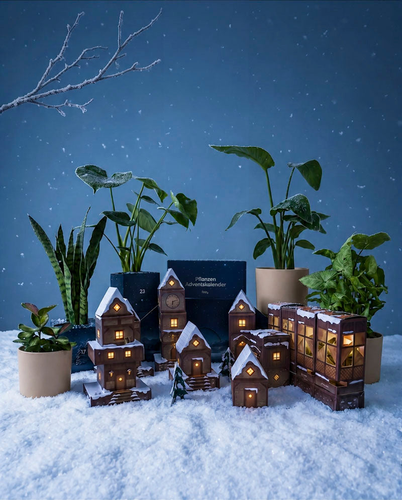 Pflanzen Adventskalender «Winterdorf im Abendblau» (Dschungel-Version)