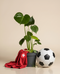 Eine Monstera - Fee mit großen, glänzend grünen Blättern sitzt in einem schwarzen Plastiktopf vor einem beigen Hintergrund - eine ideale Zimmerpflanze für jedes Zuhause.
