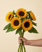 Eine Hand haelt den Sonnenblumen-Bund Classic mit 5 Sonnenblumen vor beigem Hintergrund.